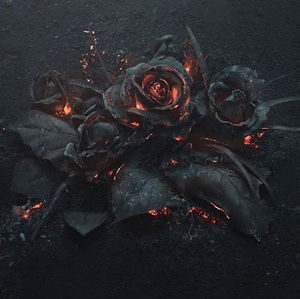 Meet your Posher, Karlos